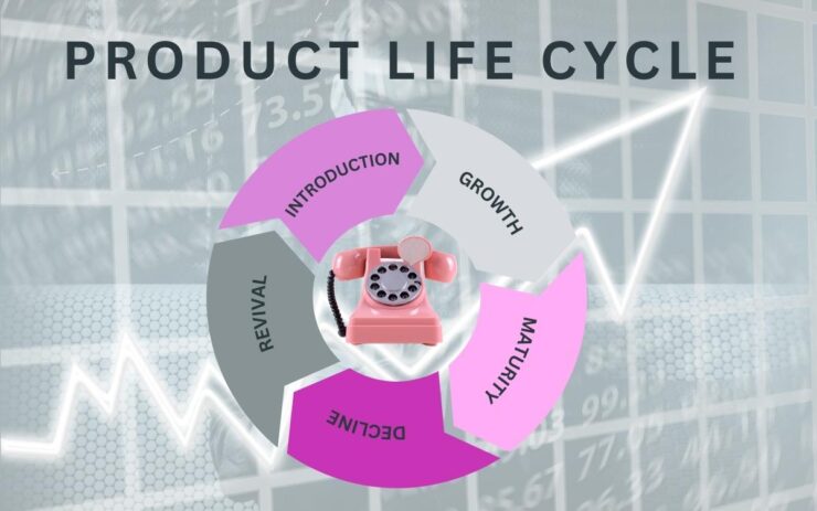 5 Stages Of The Product Life Cycle - (Definition And Examples)