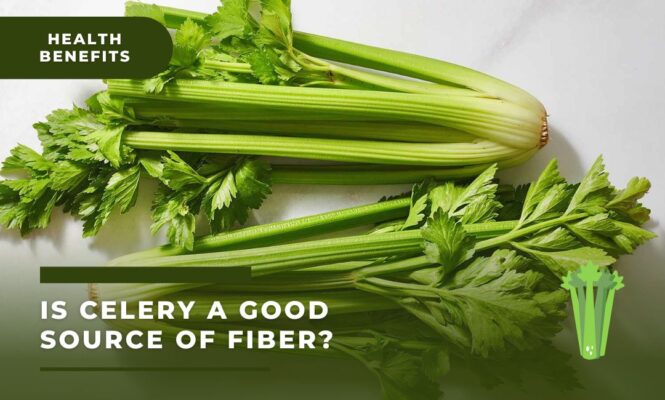 Is Celery A Good Source Of Fiber - The Health Benefits & Facts ...