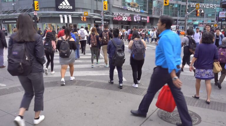 Toronto Population Update 2024 What You Need To Know   Estimated Population Of Toronto 768x430 