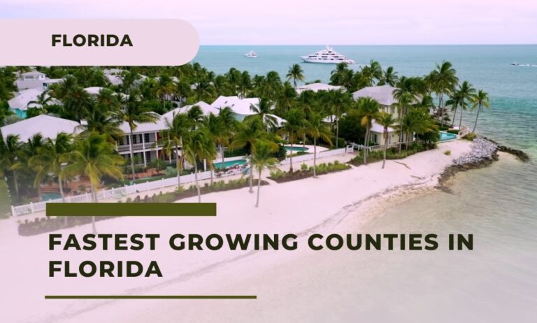 Top 9 Growing Counties In Florida 2024 Rising Stars   Fastest Growing Counties In Florida 768x462 