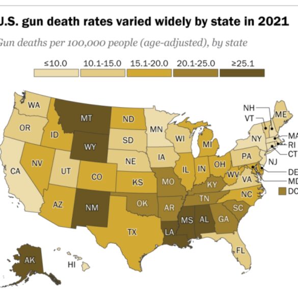 Florida Guns and Violence: Analyzing the Highest Rates of Gun Crimes