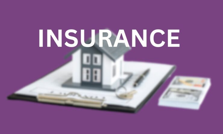 Insurance  on flip house
