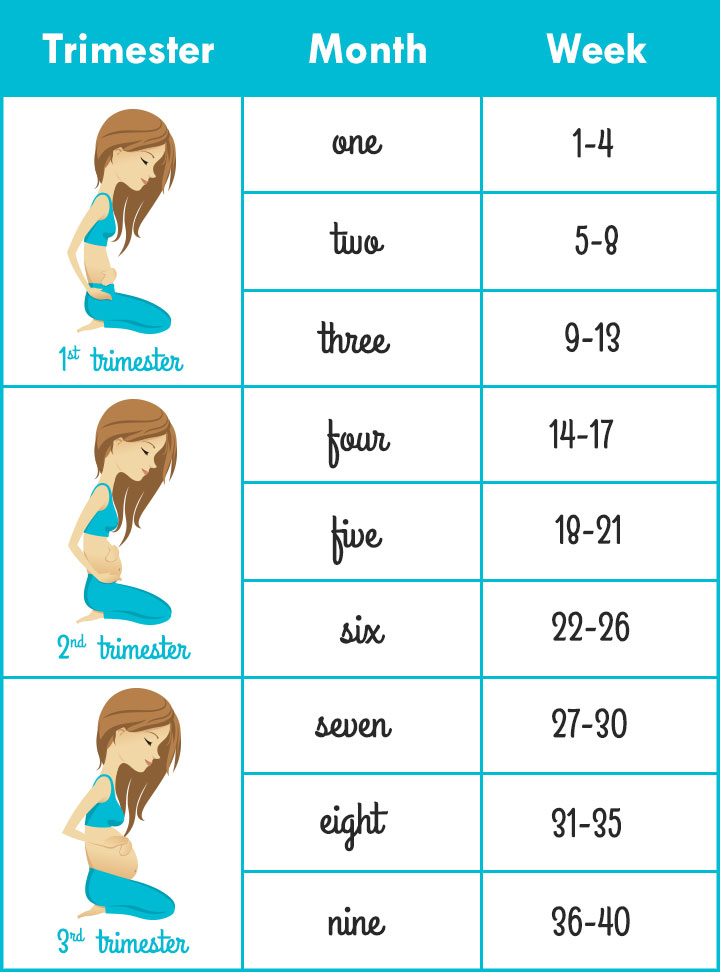 Pregnancy Weeks To Months Converting And Understanding The Timeline